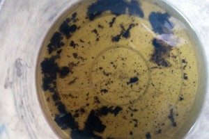 min alghe nel gasolio